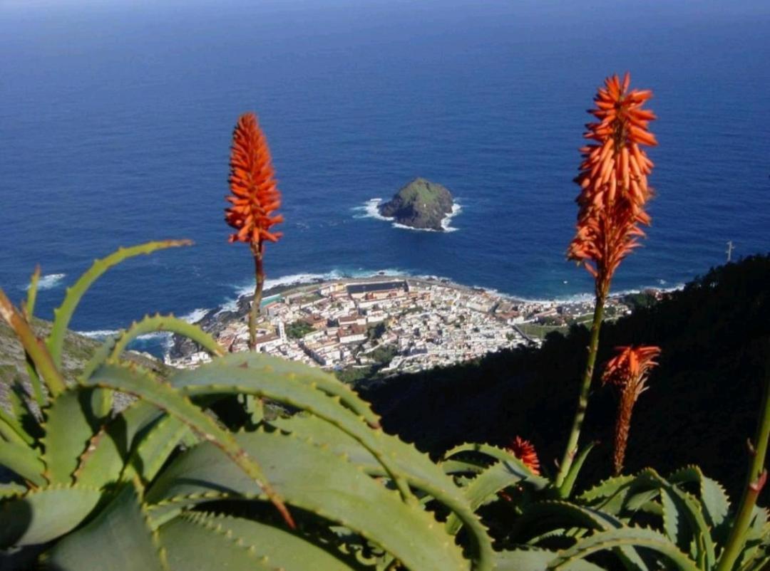 Apartamento Playa San Marcos Icod De Los Vinos Ruang foto